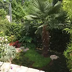 Πανσιόν Dagmar