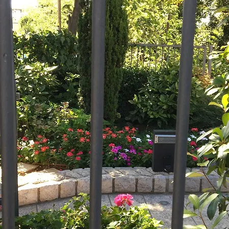 Dagmar 茨里克韦尼察