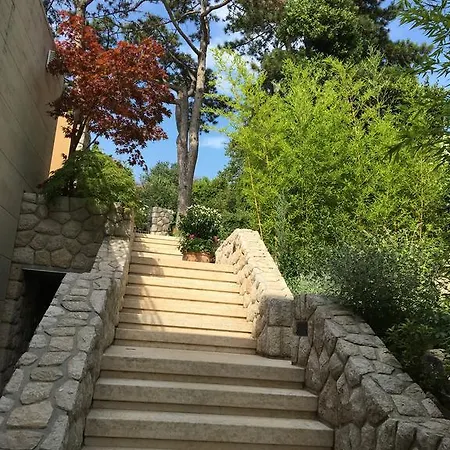 Dagmar Crikvenica