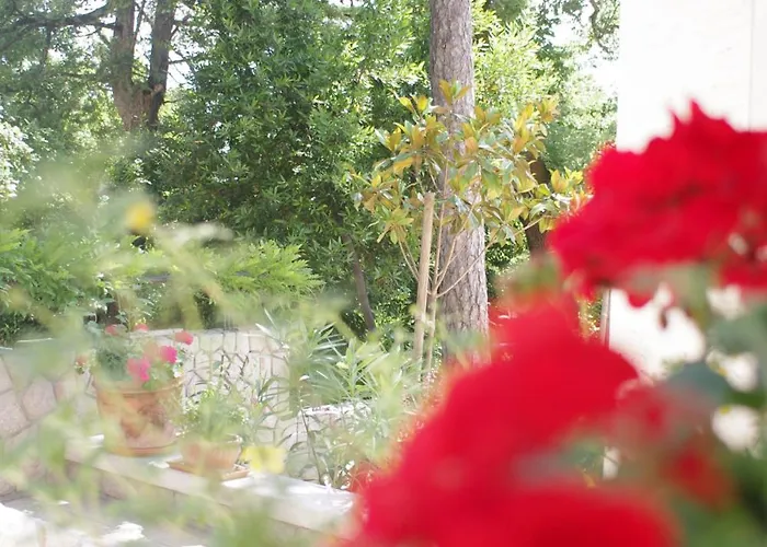 Affittacamere Dagmar 5*